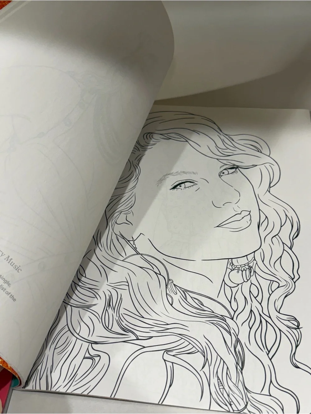 Taylor Swift Coloring & Activity Book Set - Pink & Teal Covers